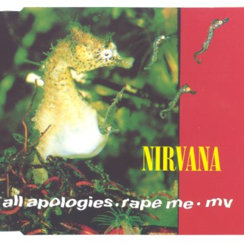 Nirvana All Apologies - cover