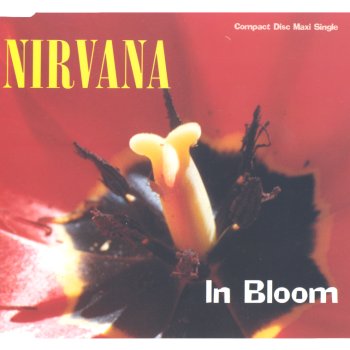 Nirvana In Bloom - cover