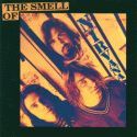 Nirvana cover art: The Smell Of
