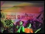 Nirvana Bloom - video still
