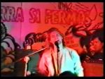 Nirvana Bloom - video still
