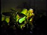 Nirvana Kennel Club - video still
