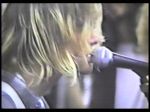 Nirvana Beehive - video still