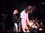 Nirvana Trees Club - video still