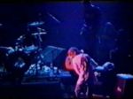 Nirvana Vooruit - video still