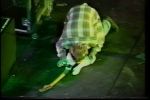 Nirvana Estadio de Velez Sarsfield #1 - video still