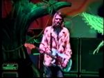 Nirvana Great Western Forum #3 - video still