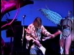 Nirvana Great Western Forum #3 - video still