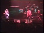 Nirvana Palaghiaccio #2 - video still
