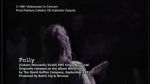 Nirvana The Path From incesticide to In Utero - video still
